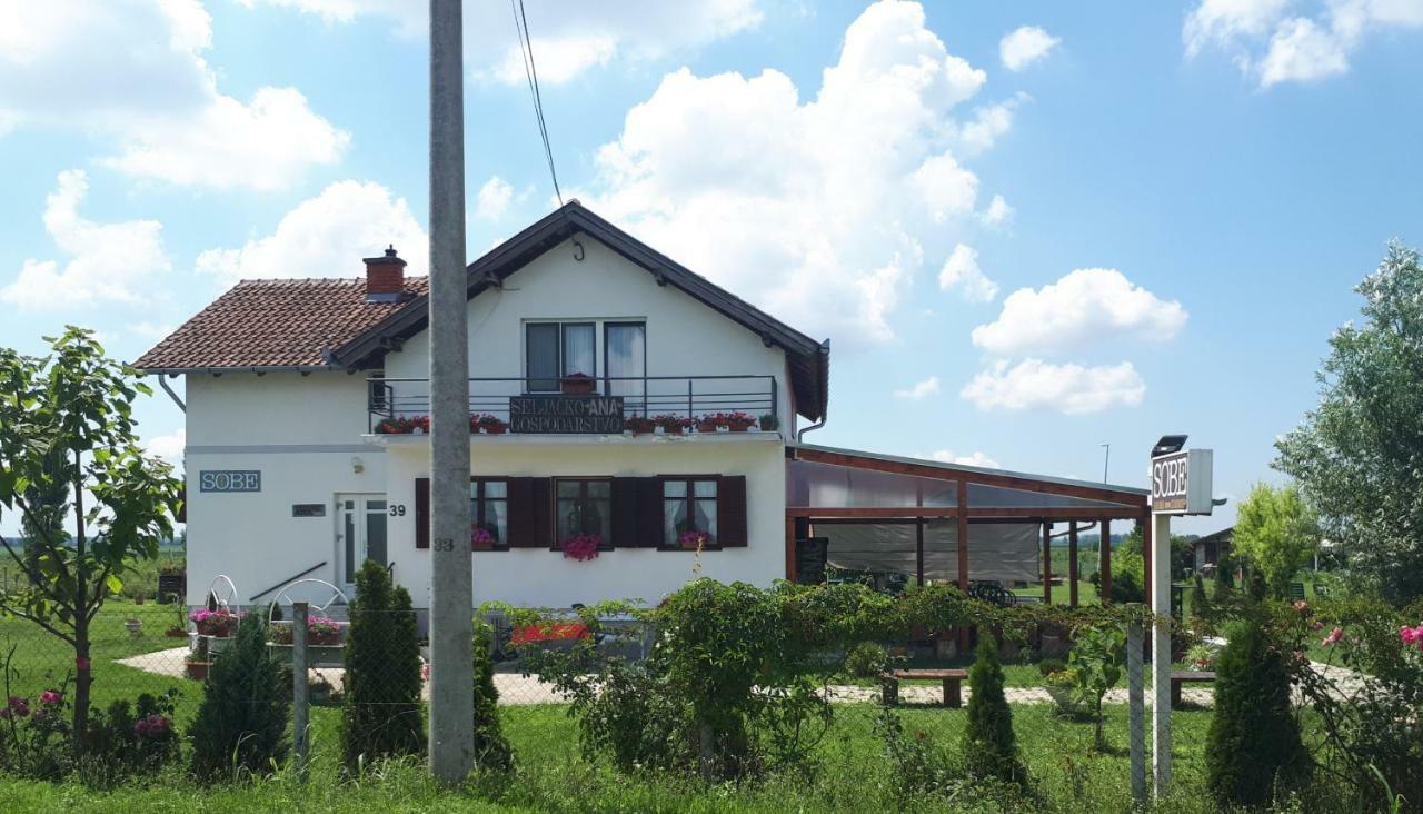 Bed & Breakfast Ana Svajcarnica Eksteriør billede